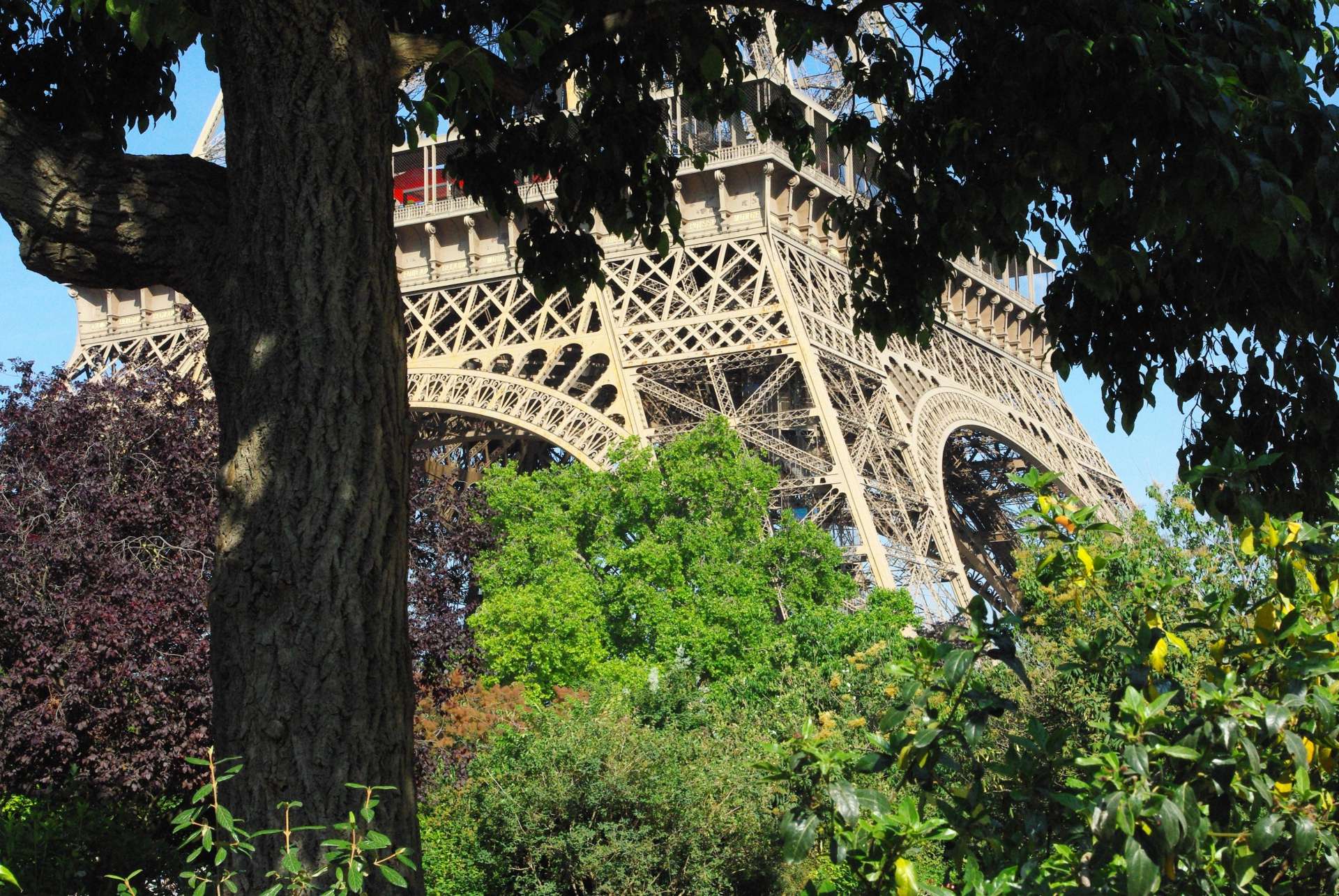 Champ de Mars and Eiffel Tower 02 © French Moments