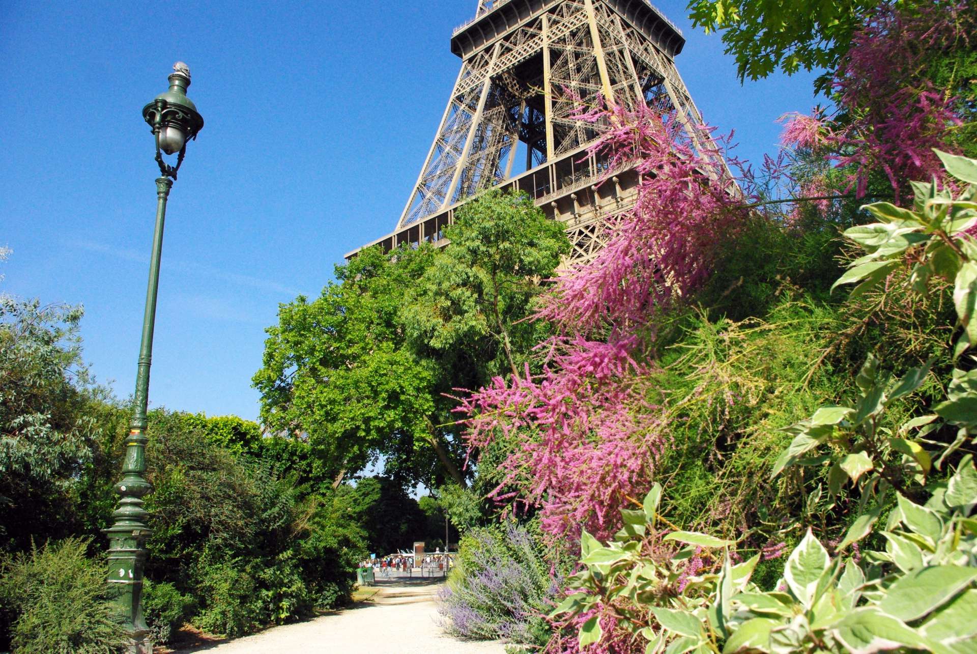 Champ de Mars and Eiffel Tower 03 © French Moments