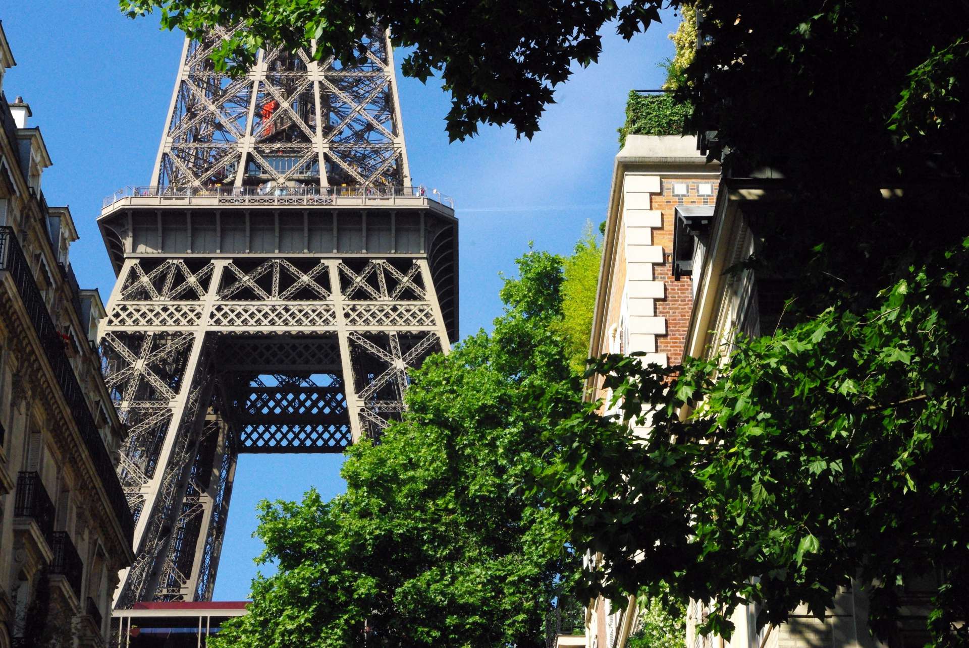 Rue de l'Université and Eiffel Tower © French Moments