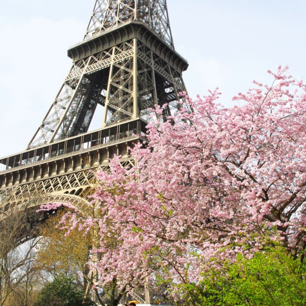 Eiffel Tower Spring 02 © French Moments
