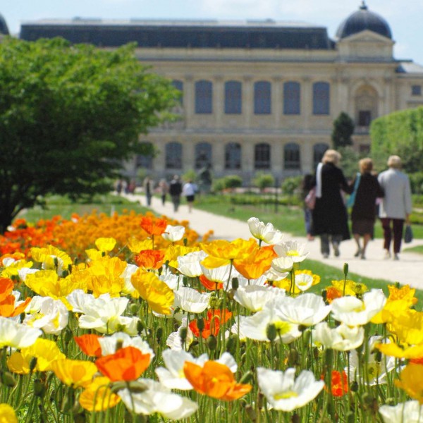 Flowers in Jardin des Plantes © French Moments