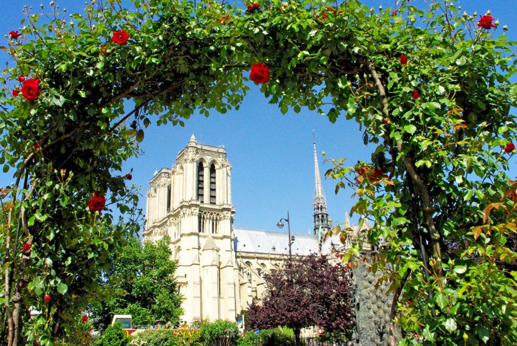 Notre-Dame des Roses © French Moments