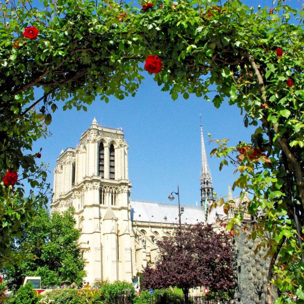 Notre-Dame des Roses © French Moments